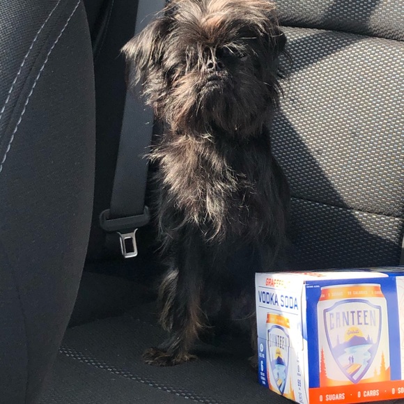 Meet The Seller - Caroline - Picture 6 of 7